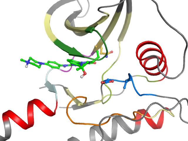 The orthosteric binding pocket