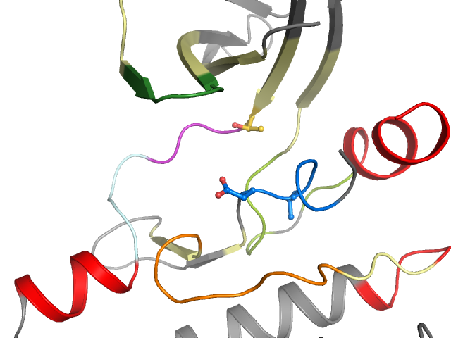 The orthosteric binding pocket