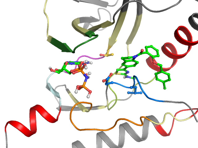 The orthosteric binding pocket
