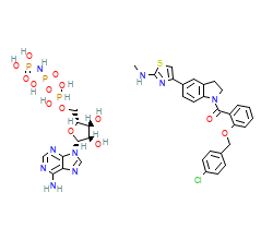 2D structure of the orthosteric ligand
