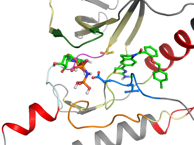 The orthosteric binding pocket