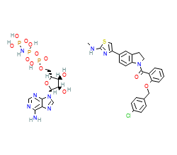 2D structure of the orthosteric ligand