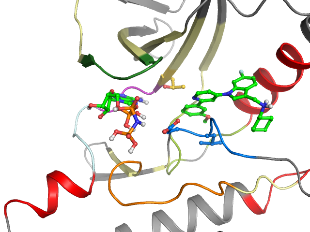 The orthosteric binding pocket