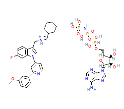 2D structure of the orthosteric ligand