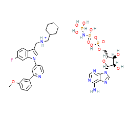 2D structure of the orthosteric ligand