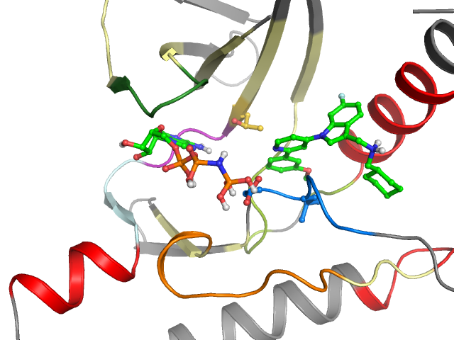 The orthosteric binding pocket