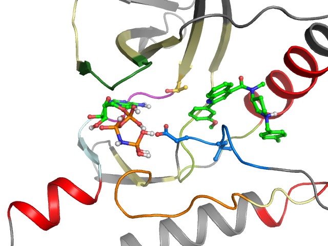The orthosteric binding pocket