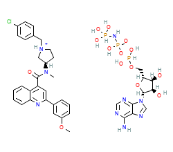 2D structure of the orthosteric ligand