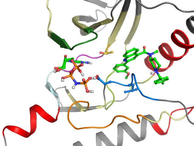 The orthosteric binding pocket