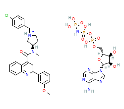 2D structure of the orthosteric ligand