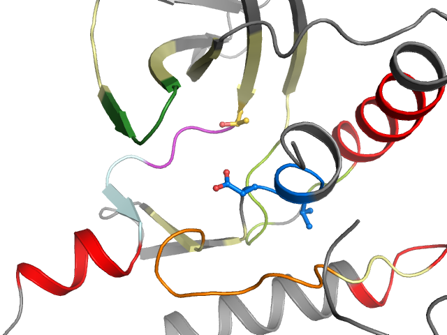 The orthosteric binding pocket