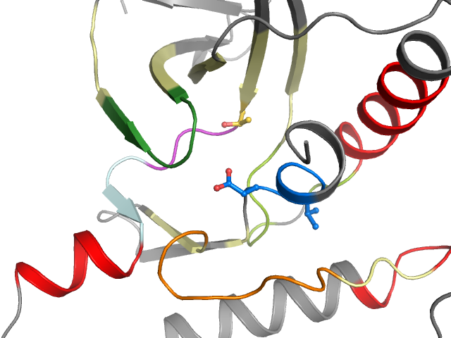 The orthosteric binding pocket