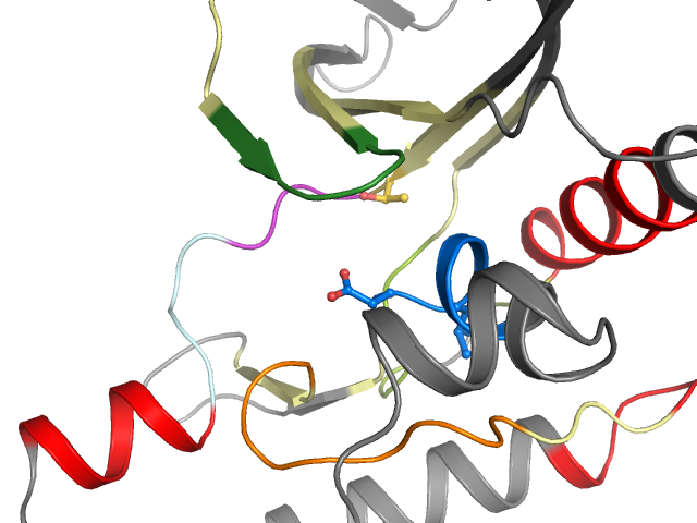 The orthosteric binding pocket