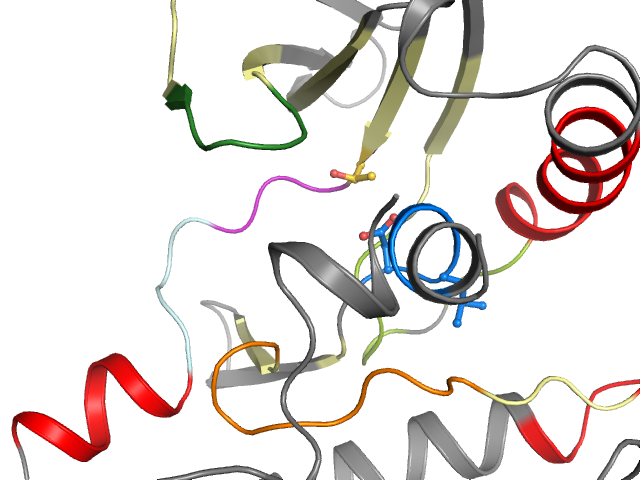 The orthosteric binding pocket