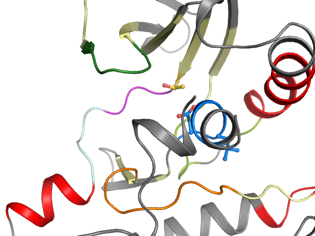 The orthosteric binding pocket