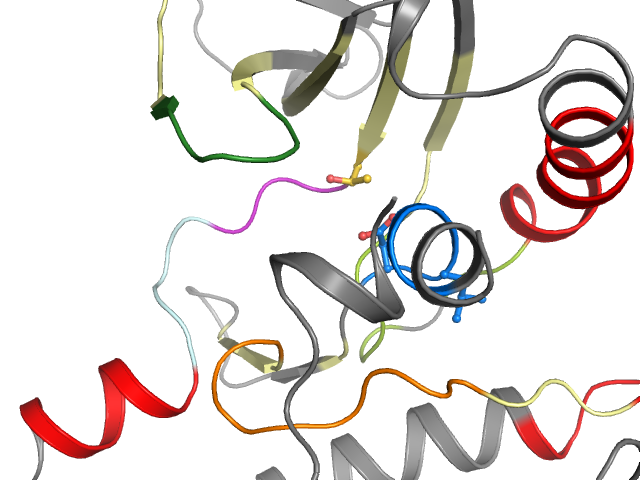 The orthosteric binding pocket