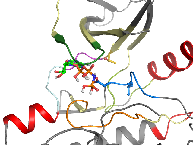 The orthosteric binding pocket