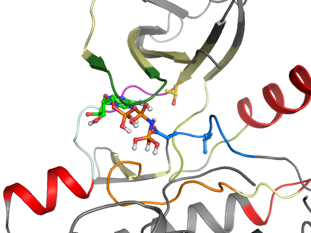 The orthosteric binding pocket