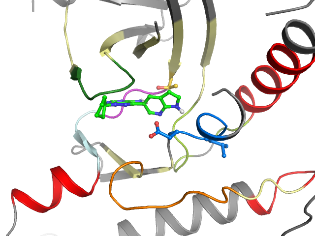 The orthosteric binding pocket