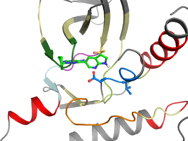 The orthosteric binding pocket