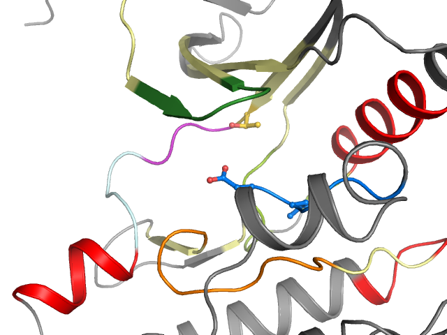 The orthosteric binding pocket