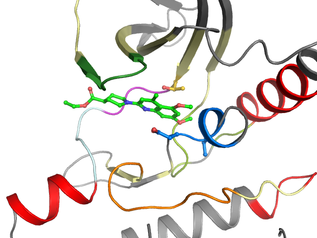 The orthosteric binding pocket