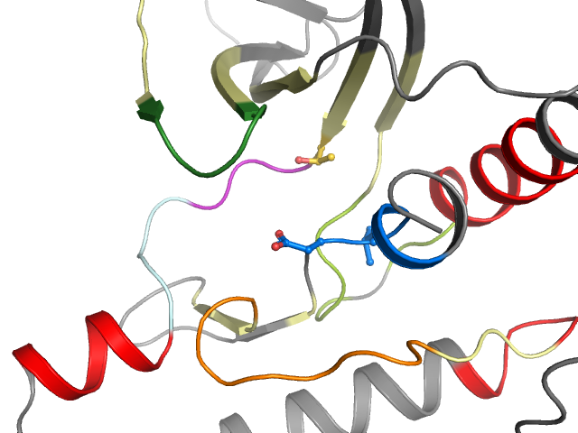 The orthosteric binding pocket