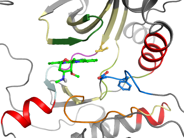 The orthosteric binding pocket