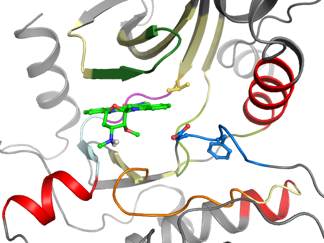 The orthosteric binding pocket