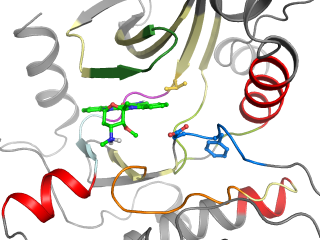 The orthosteric binding pocket