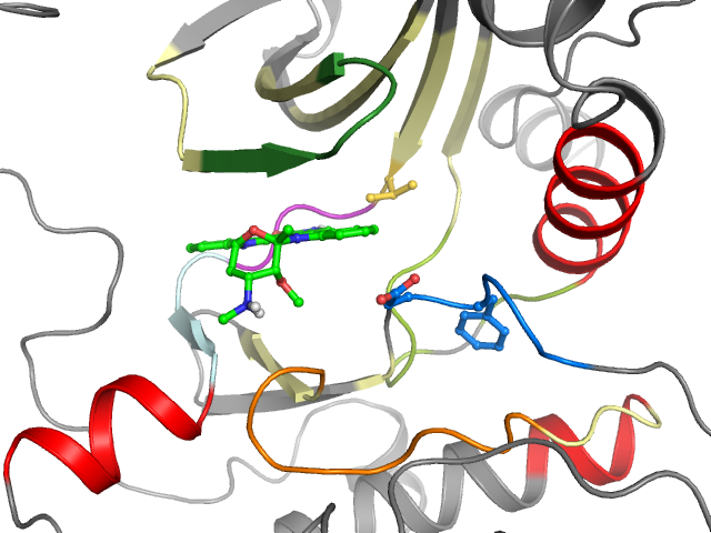 The orthosteric binding pocket