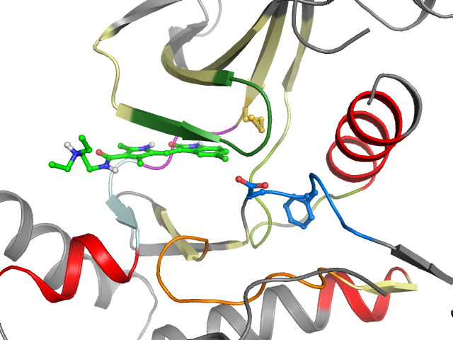 The orthosteric binding pocket