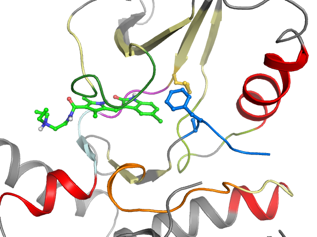 The orthosteric binding pocket