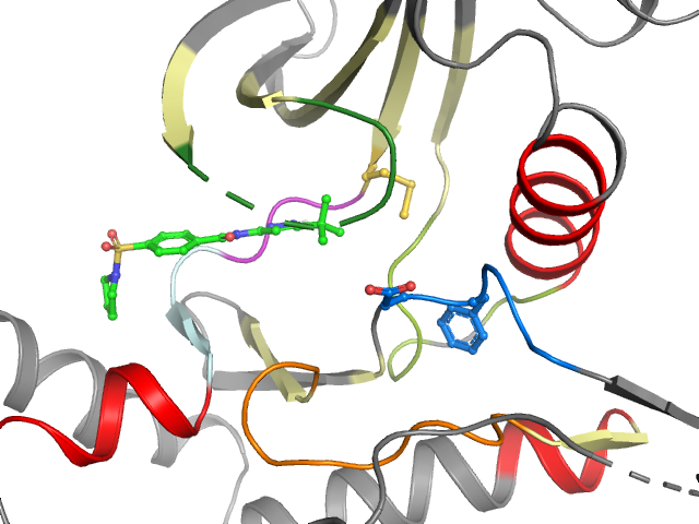 The orthosteric binding pocket