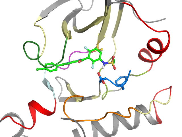 The orthosteric binding pocket