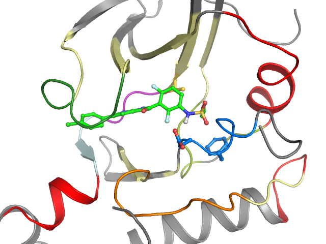 The orthosteric binding pocket