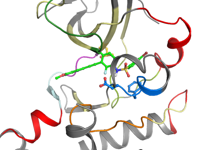 The orthosteric binding pocket