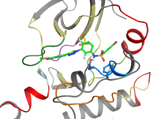 The orthosteric binding pocket