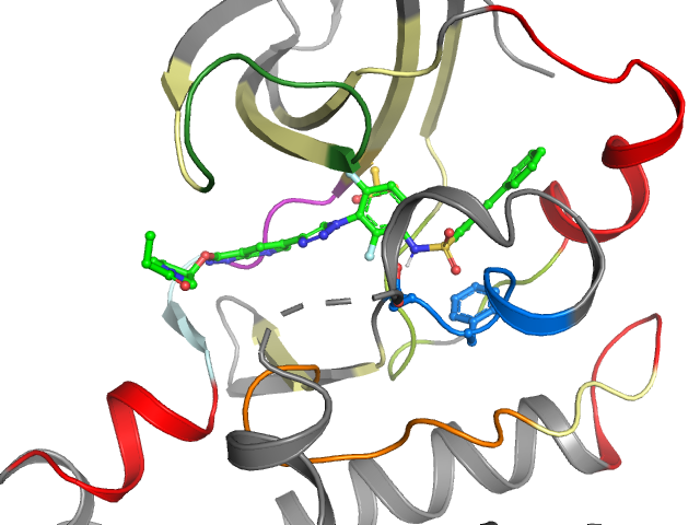 The orthosteric binding pocket