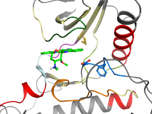 The orthosteric binding pocket