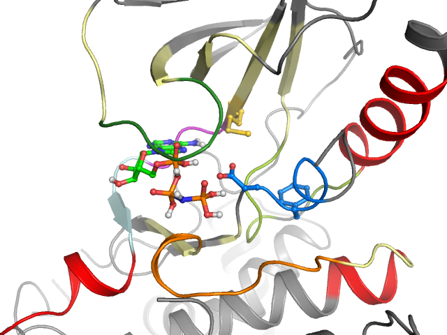 The orthosteric binding pocket