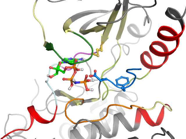 The orthosteric binding pocket