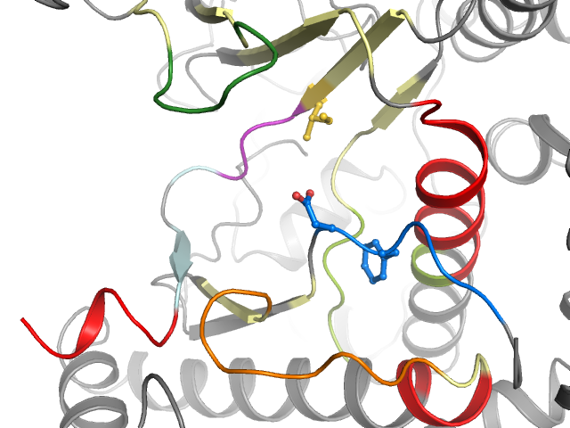 The orthosteric binding pocket