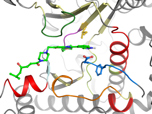 The orthosteric binding pocket