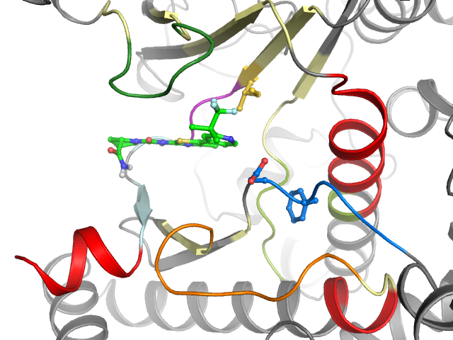 The orthosteric binding pocket