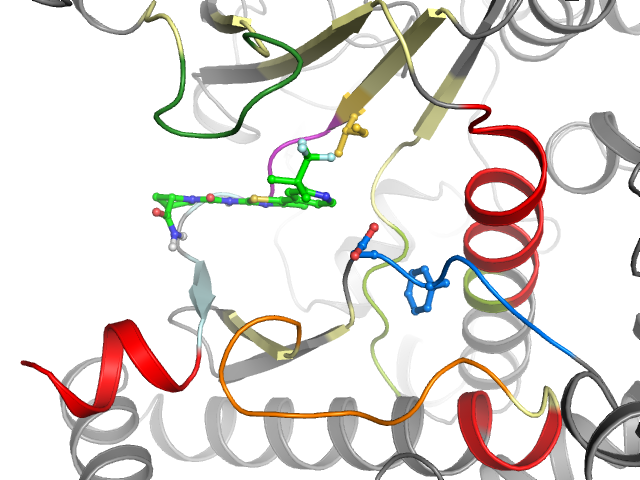 The orthosteric binding pocket