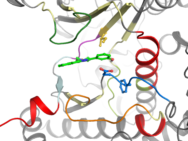 The orthosteric binding pocket