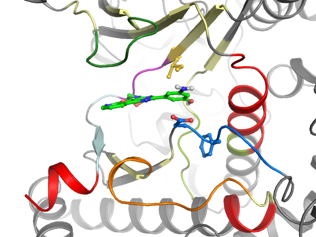 The orthosteric binding pocket