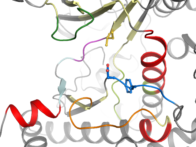 The orthosteric binding pocket