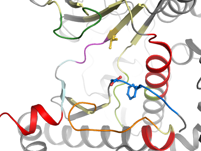 The orthosteric binding pocket